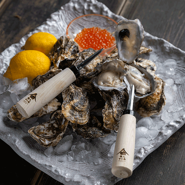 Japanese Stainless Steel Oyster_Shucker Knife_Grey_Plate_21
