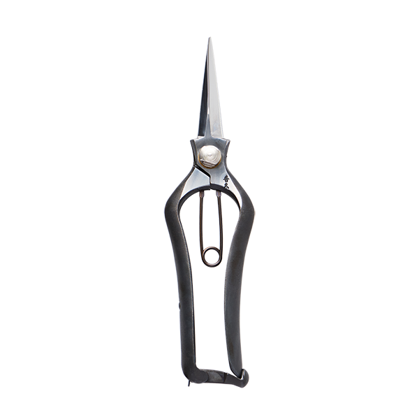 Hidehisa Pointed Blade Flower Scissors Pointy