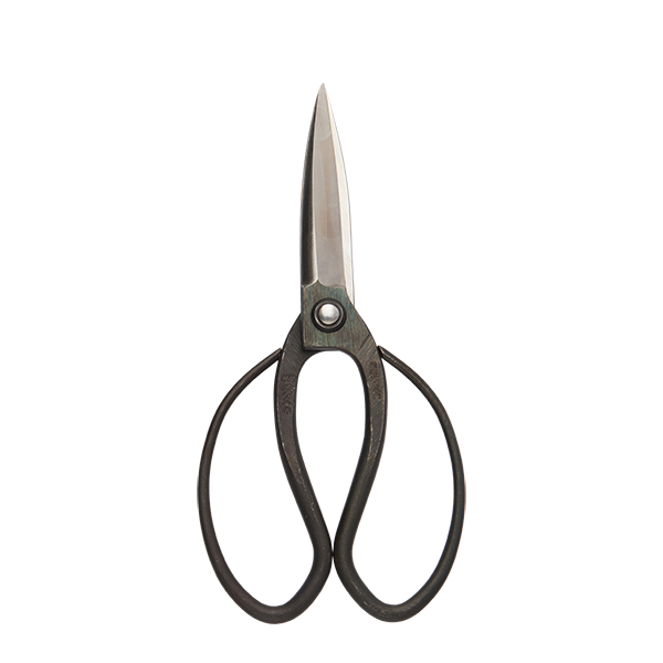 Hidehisa Okubo Scissors Japanese made