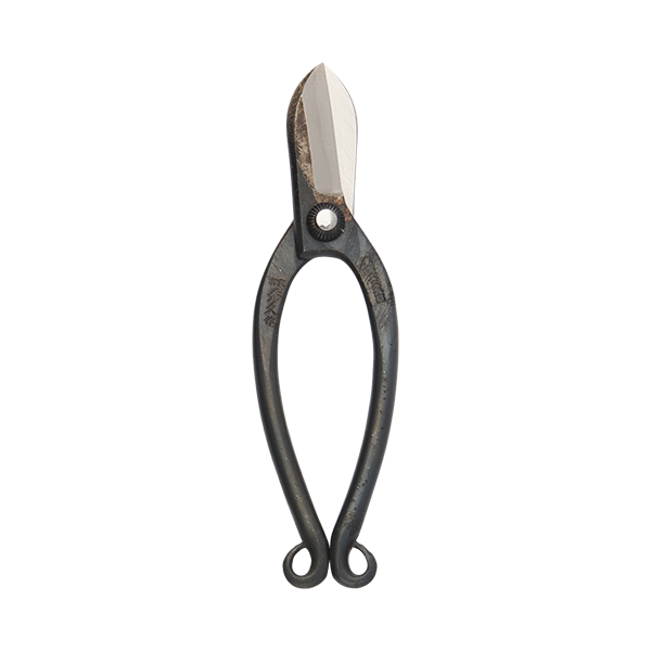 Hidehisa Warabite Style Floral Scissors made in Japan