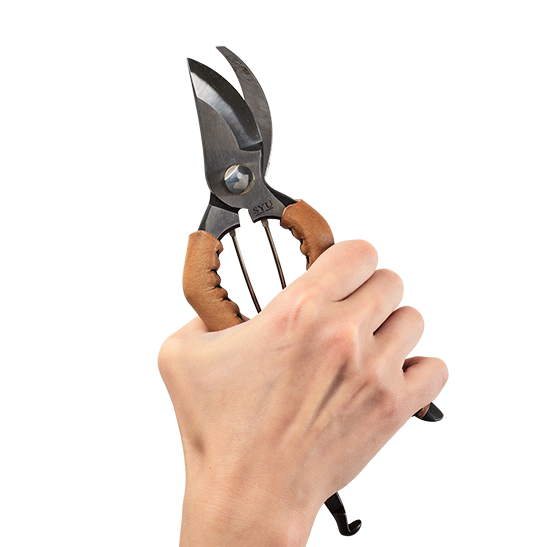 Trendy small secateurs