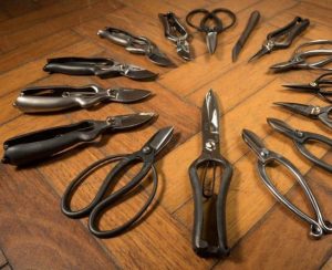 Many different types of secateurs available