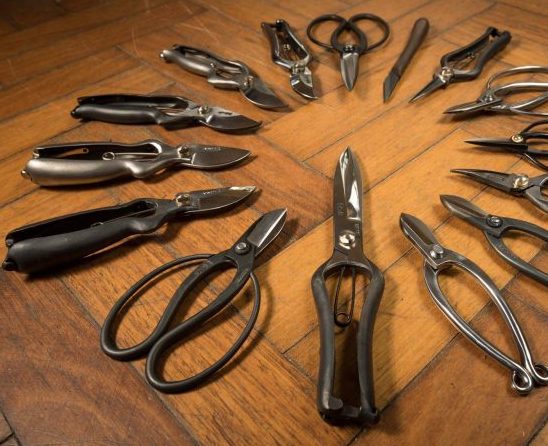 Many different types of secateurs available