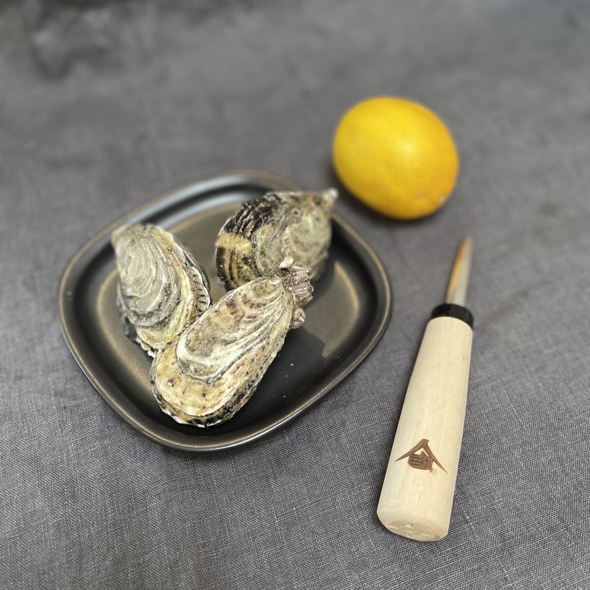 Stainless Steel Japanese Oyster Shucker for Professional Use