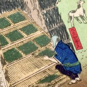 19th Century Nori Production in Japan Illustrated by Hiroshige Utagawa