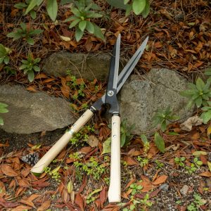 Kihachi Japanese garden shears with hollow ground blades resting among fallen leaves