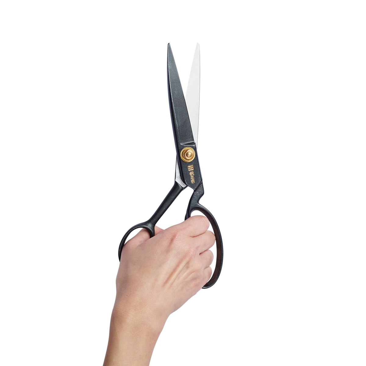 Hand Holding black masamune tailors shears Compact 19 cm