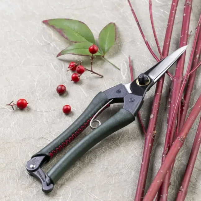 Kuroco Pointed Tips Single Edged Garden Scissors 200mm in Green Leather