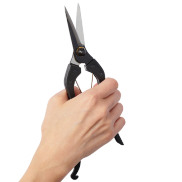 Hand Holding Kuroco Pointed Tips Single Edged Garden Scissors