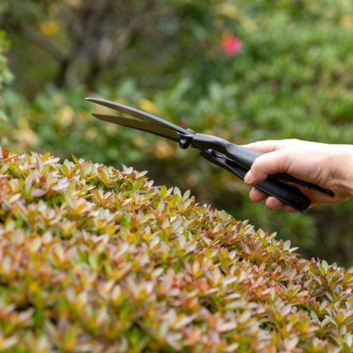 Kuroco Hand-Held-Hedge and Topiary Curved Shears 260mm Crafted by Yoshioka Hamono