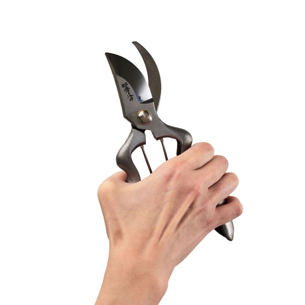 Hand holding Toyama Hamono Robust Secateurs Good Design Award Winner