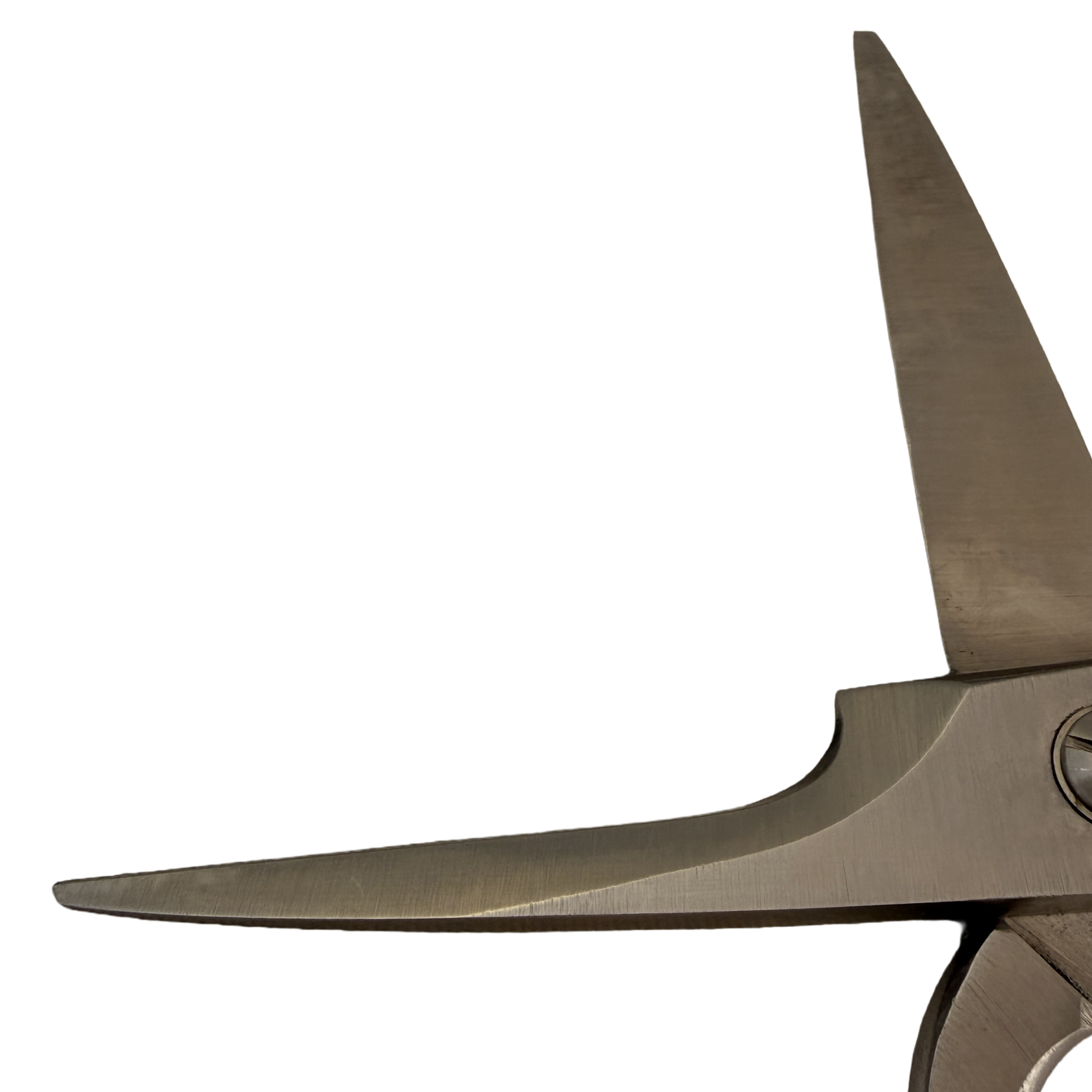 Kiyotsuna Chefs Kitchen Scissors Hand Sharpened Receiving Blade Up Close