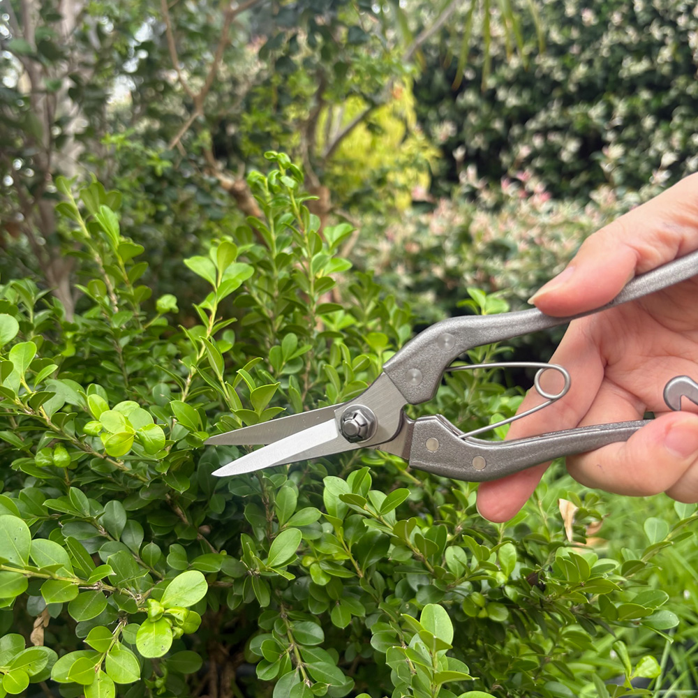 Kuroco Single Edged Bud Trimming Scissors Stainless Steel 180mm - Image 3