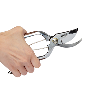 T101_Hidehisa_Secateurs_Walnut_Handle_Inlay_Hand