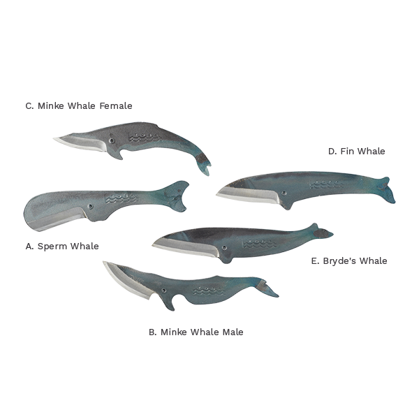 Whale Craft Knife - Image 2