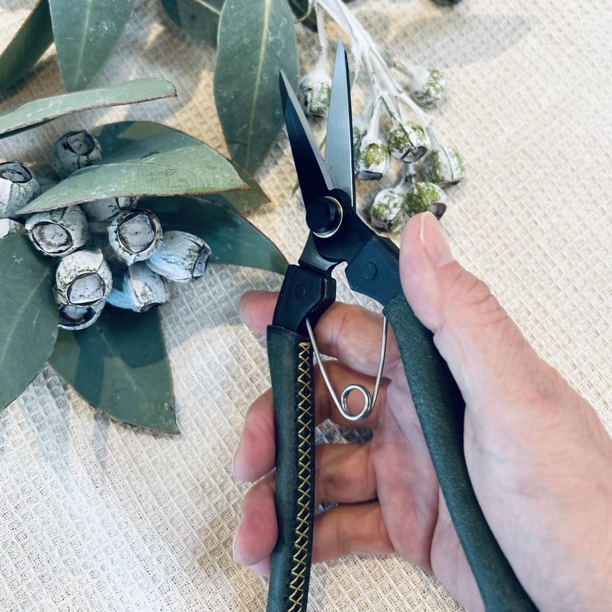 Holding Kuroco-Pointed_Tip_Pruning-Scissors_200_Single-Edged_Leather_green styled photo